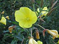 13-10-05canon_024