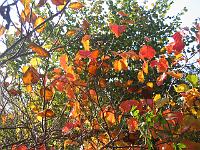 30-10-05canon_008