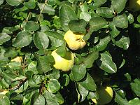 img_6463