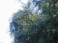 img_6510
