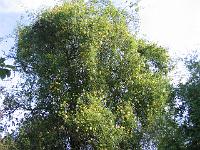 10-09-05canon_001