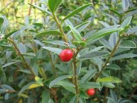 10-09-05canon_037