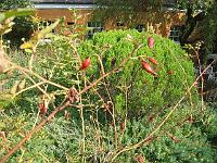 10-09-05canon_038
