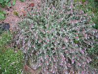 19-09-05canon_013