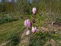 2016-05-06-14-02-33