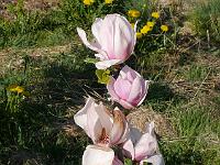2016-05-09-16-31-34
