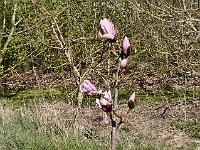 2019-04-23-09-22-17