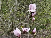 2019-04-25-08-40-35