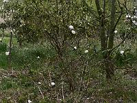2019-04-25-08-49-33