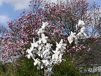 2018-04-23-14-34-31