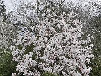 2017-04-14-17-53-35