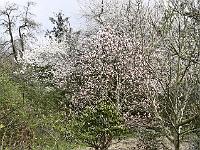 2019-04-11-09-26-53