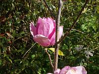 2015-05-06-09-01-35