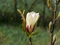 2015-04-30-08-42-10