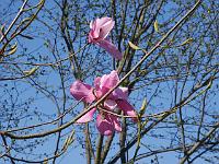 2015-04-22-14-35-11