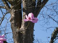 2015-04-22-14-35-36
