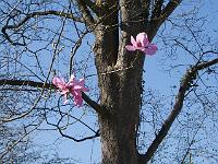 2015-04-22-14-35-43