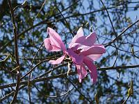 2015-04-22-14-36-04