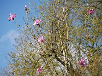 2016-04-28-08-43-23