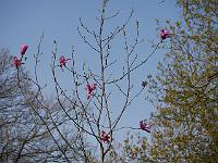 2016-04-29-08-19-20