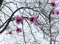 2018-04-20-16-21-30