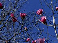 2018-04-21-07-55-20