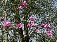 2018-04-22-09-06-05