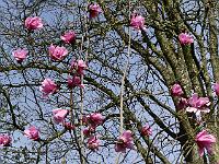 2018-04-22-09-06-20
