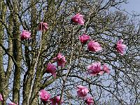 2018-04-22-09-06-34