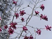 2018-04-22-14-57-52