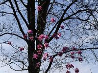 2018-04-22-15-56-41