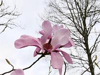 2018-04-23-17-22-08