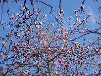 22-04-05kodak_022