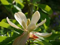 2015-06-08-08-01-07