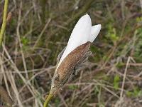 2017-04-22-08-22-45