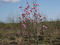 2015-04-16-16-42-57