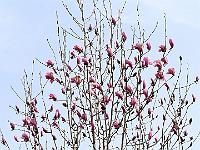 2019-04-05-09-06-51