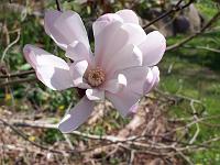 25-04-05kodak_204