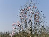 2018-04-20-08-22-33