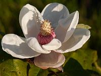 2015-07-01-19-35-34