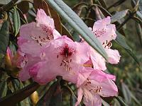 17-04-05canon_078
