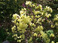 18-05-05kodak_209