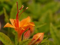 2012-05-31_13-01-38_0277