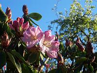 17-05-05kodak_069