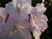 21-05-05kodak_048