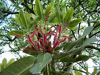 10-06-05kodak_053