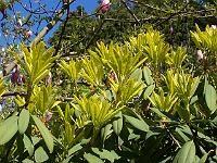 11-05-05kodak_155