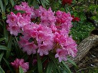 11-05-05kodak_087