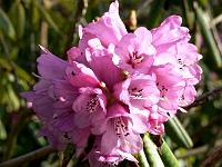 24-04-2006_17-49-10_15