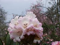 29-04-05kodak_122